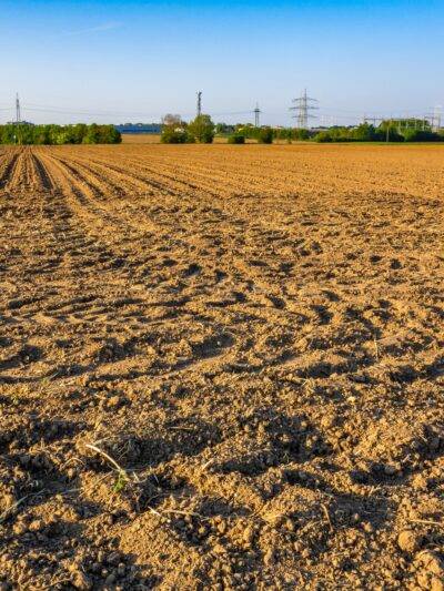 A view of an agricultural field in a rural area captured on a bright sunny day